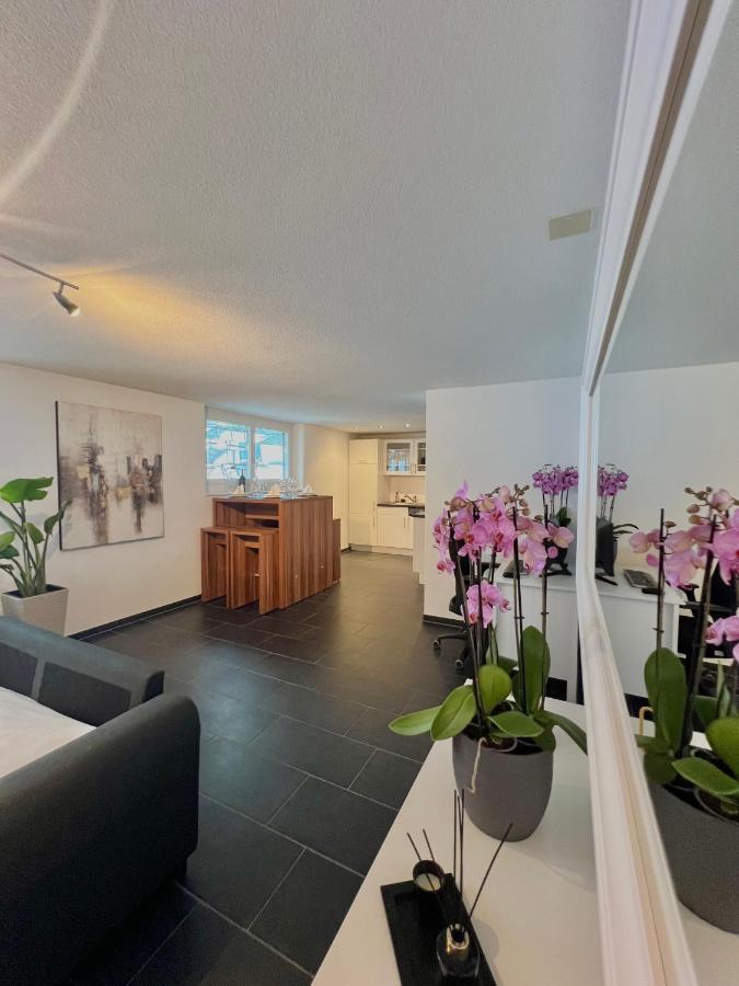 The R Apartment Froburg, Parking, Netflix, Golfplatz Obergosgen Екстериор снимка