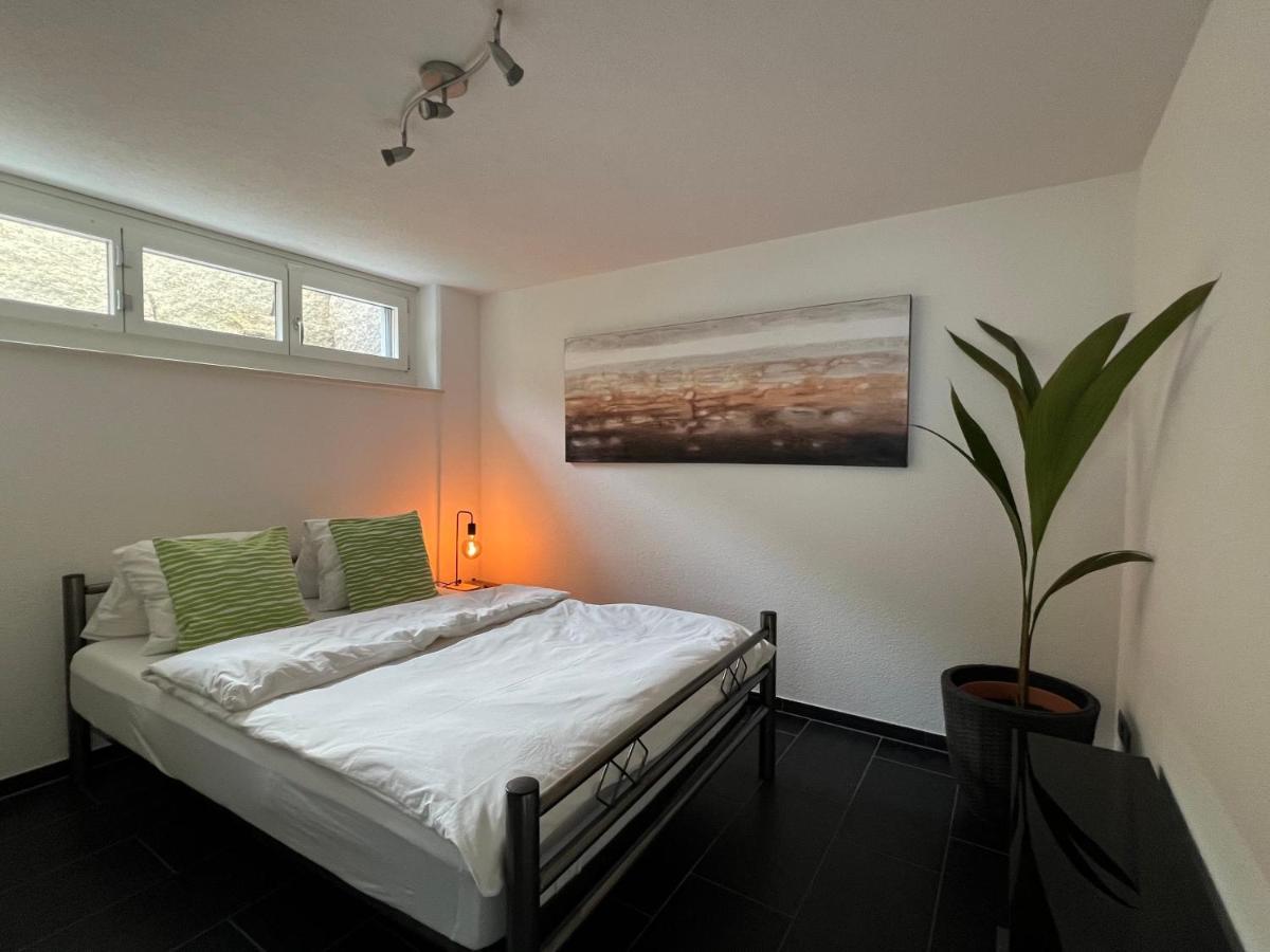 The R Apartment Froburg, Parking, Netflix, Golfplatz Obergosgen Екстериор снимка