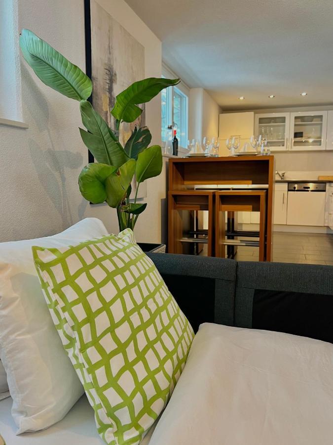 The R Apartment Froburg, Parking, Netflix, Golfplatz Obergosgen Екстериор снимка